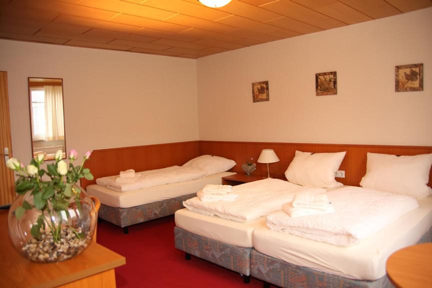 Hotel Garni Kaiserpfalz جوسلار المظهر الخارجي الصورة