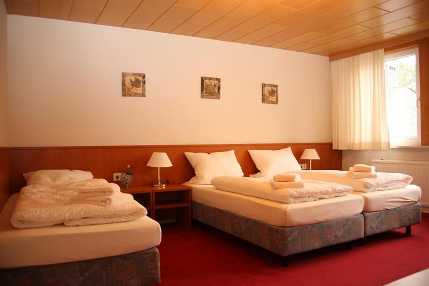 Hotel Garni Kaiserpfalz جوسلار المظهر الخارجي الصورة
