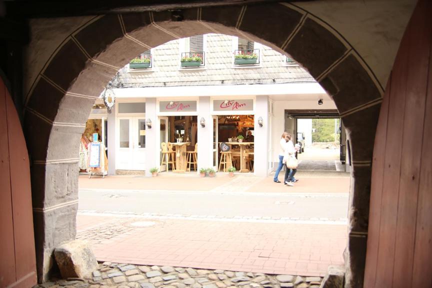 Hotel Garni Kaiserpfalz جوسلار المظهر الخارجي الصورة